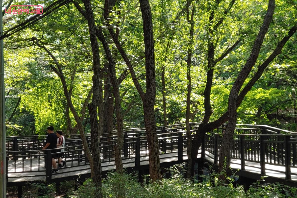 벽운계곡 입구부터 숲 그늘로 이어지는 시원한 무장애숲길은 산책 코스로 좋다. ©김병규 