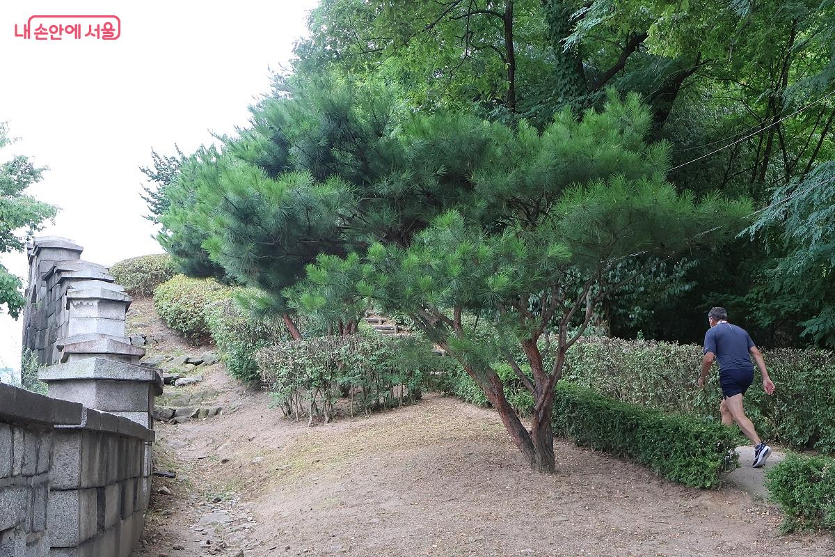 한 외국인이 경사 높은 성곽길을 따라 힘차게 달리며 건강을 다지고 있다. ©이봉덕