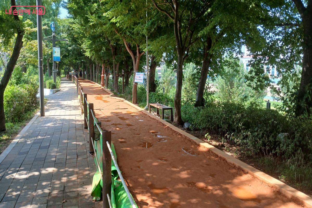 건강 황톳길을 만날 수 있다. &copy;유지민