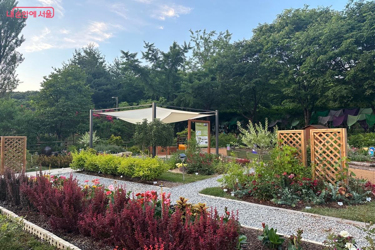 작가들이 제작한 작가정원 &copy;강다영