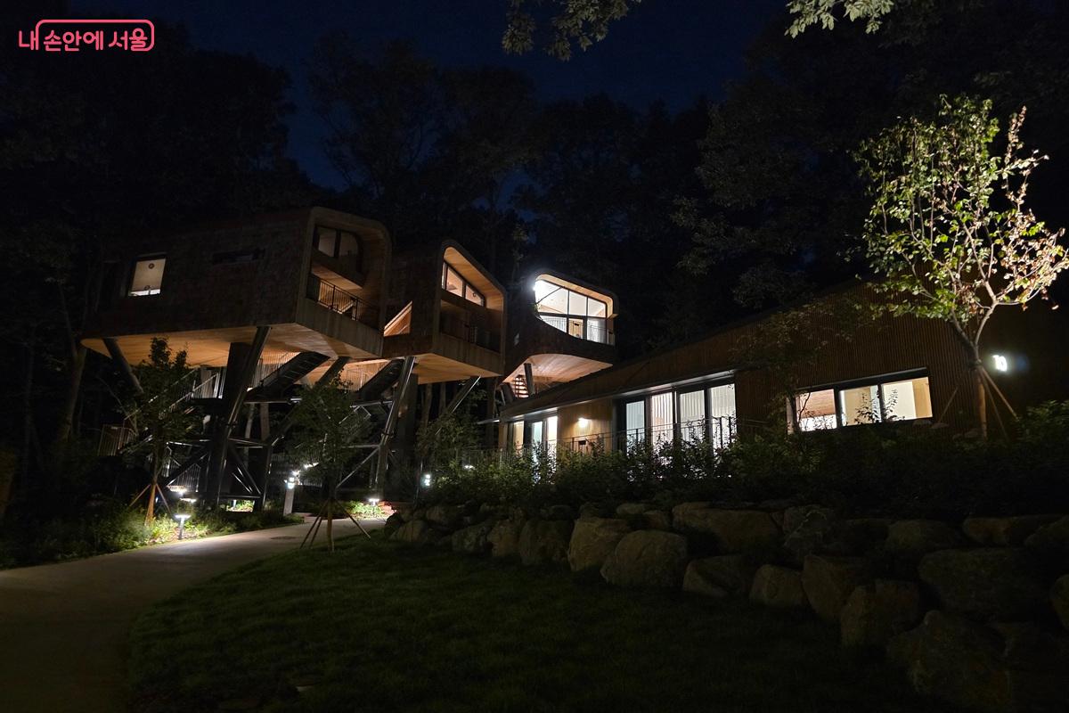 동화 같은 트리하우스 야경 모습 &copy;구정숙