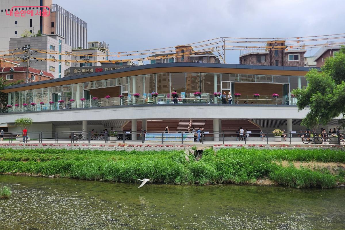 한가로이 우이천 위를 날아다니는 새는 언제 보아도 반갑다. ©김미선