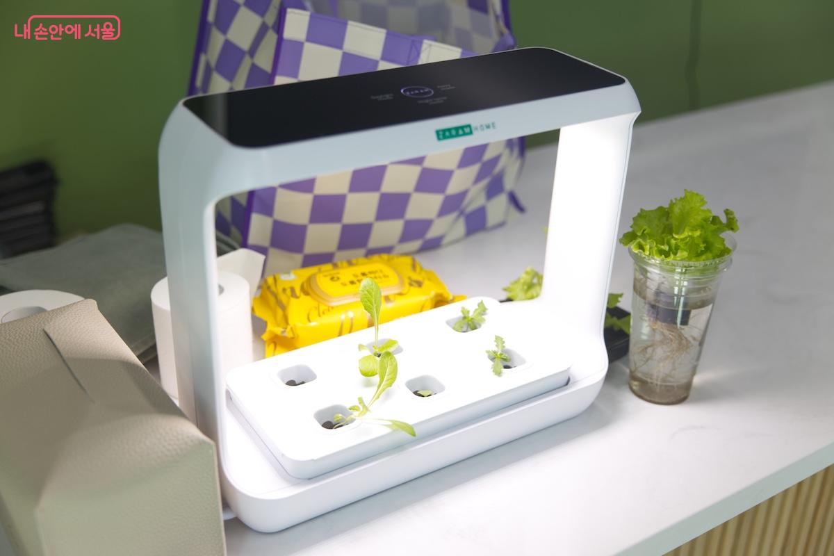 수요일부터 일요일까지 진행되는 다양한 체험 프로그램이 진행 중인 교육장