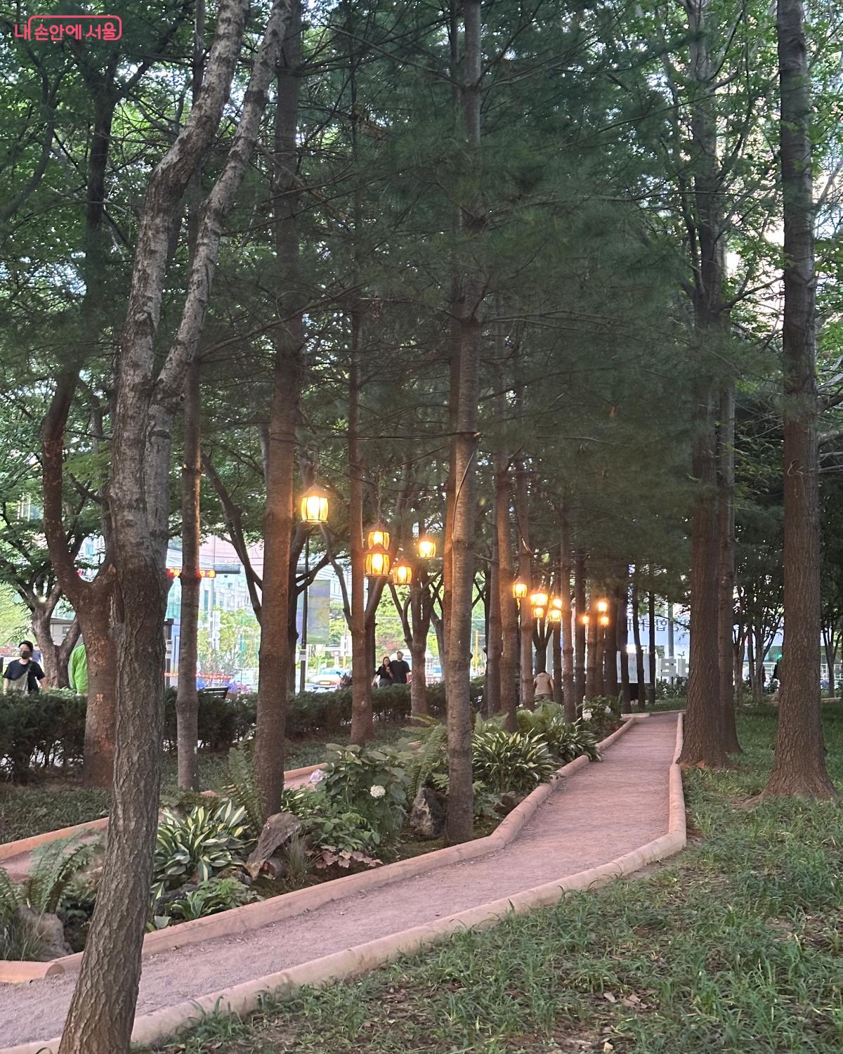 진흙길도 볼 수 있다. &copy;강다영