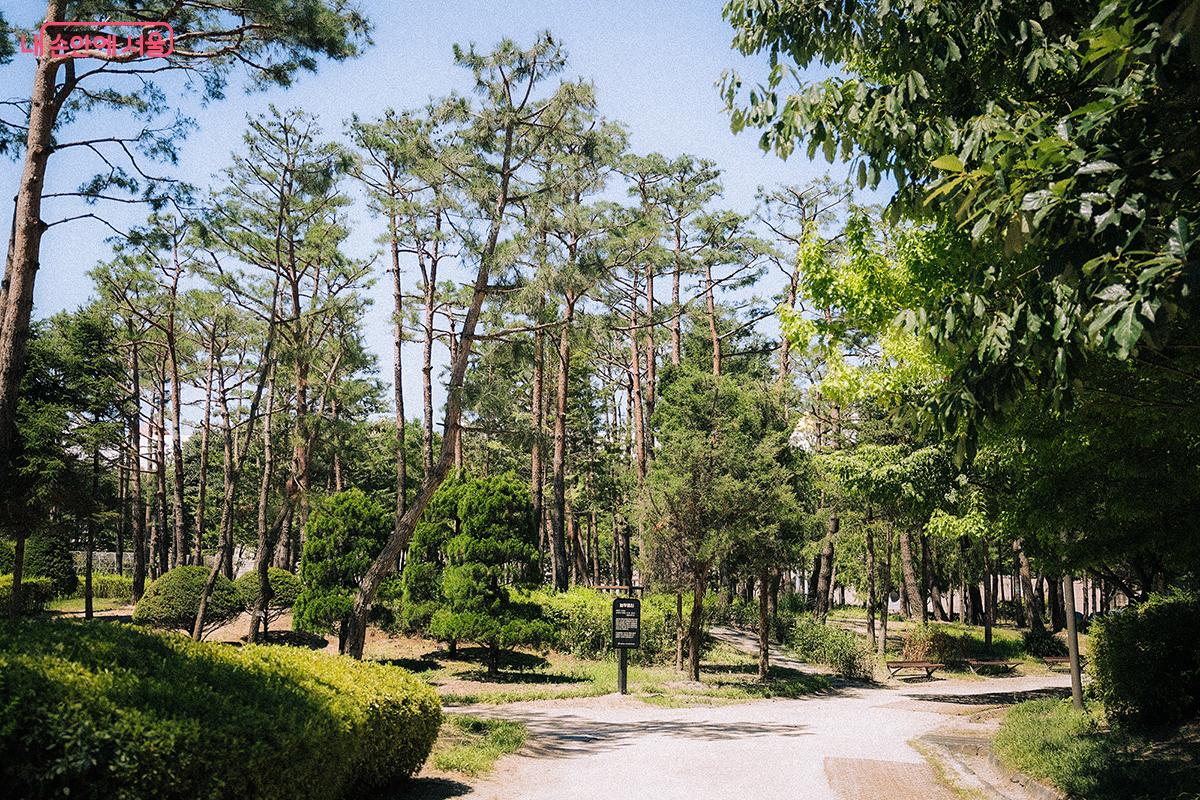 이 일대에 조성된 늘푸름원, 약용식물원, 산림 생태관찰원, 천이관찰원 등은 생태 교육의 장이 되어준다. ©김아름