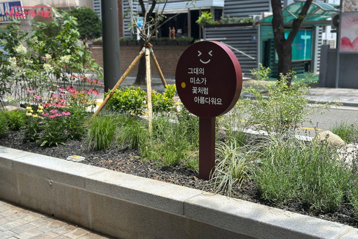 화분 위에 좋은 글귀의 표지판이 있다. ©김재형