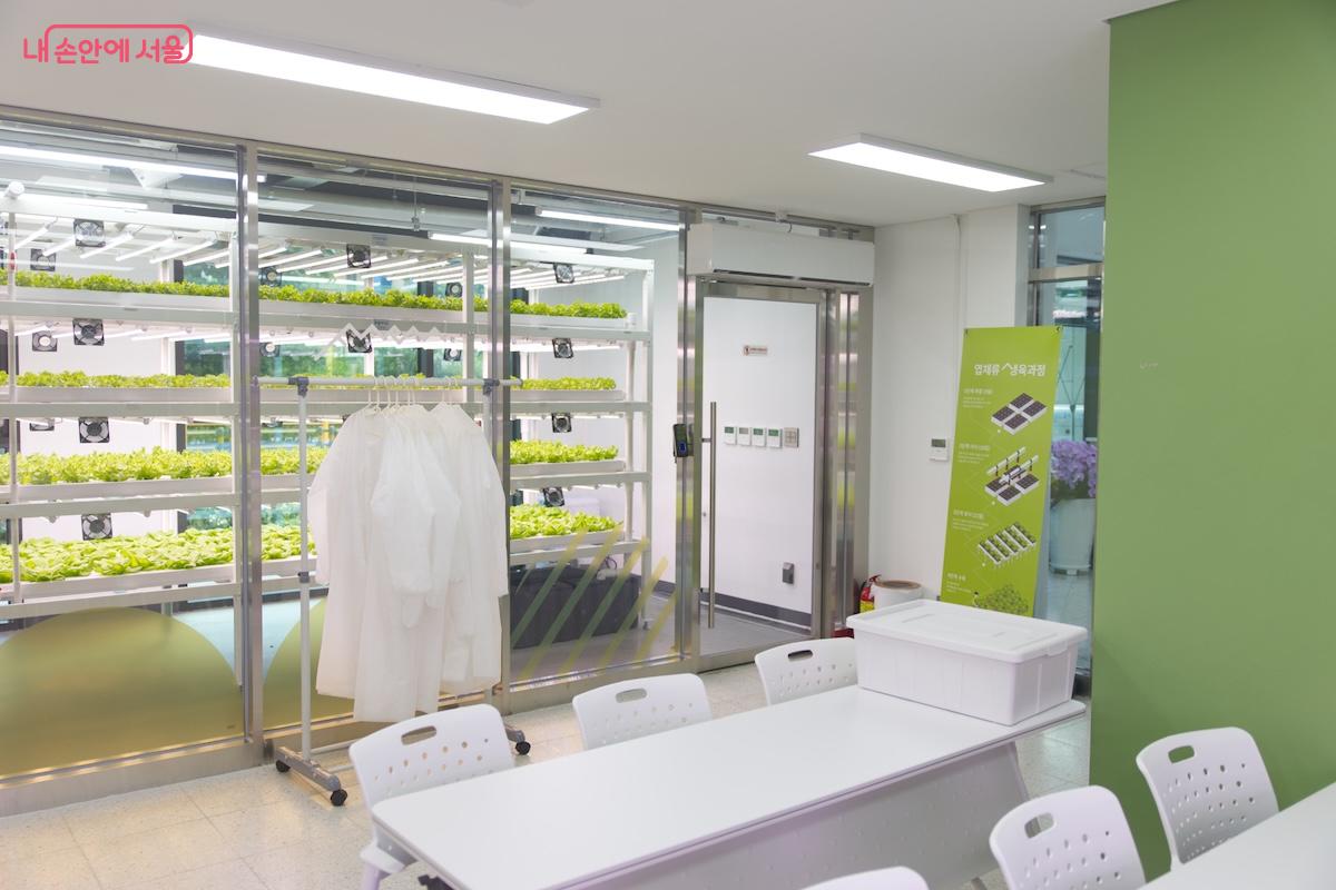 타 지역이나 다른 유형의 스마트팜에 비해 다양한 공간을 넉넉히 확보하여 개관한 센터다