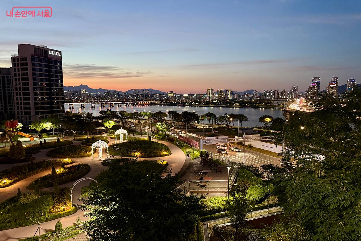 삼성장미정원과 함께 보이는 한강 야경 ©김미정