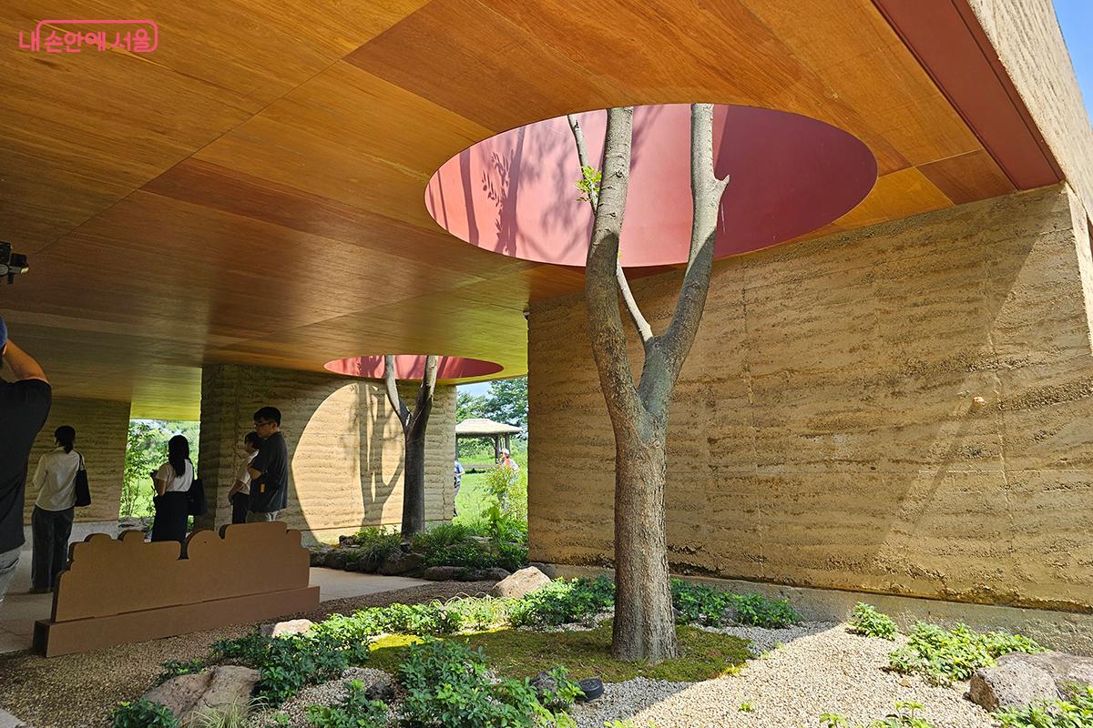 나무의 생명력을 통해 노을공원 조성 과정을 재현함으로써 그 의미를 상징적으로 표현한다. ©이혜숙