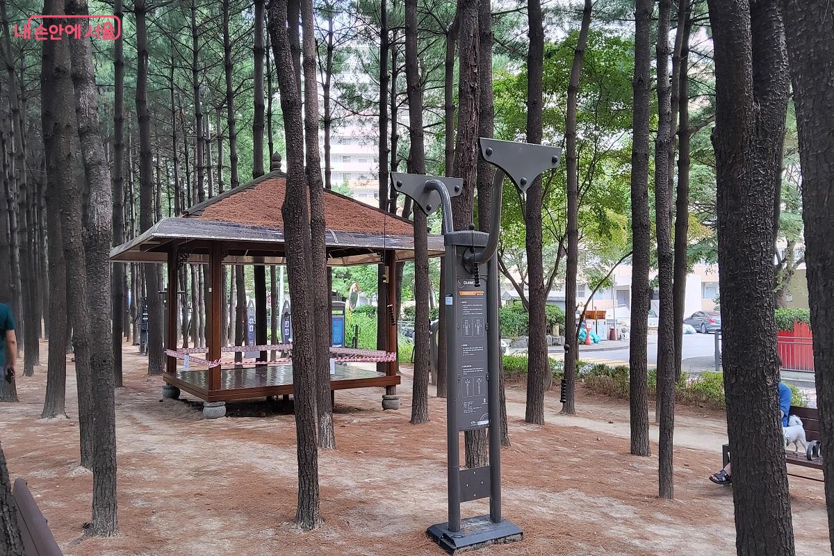 소나무숲에는 누구나 즐길 수 있게 운동시설과 벤치가 놓여 있다. ©권수진
