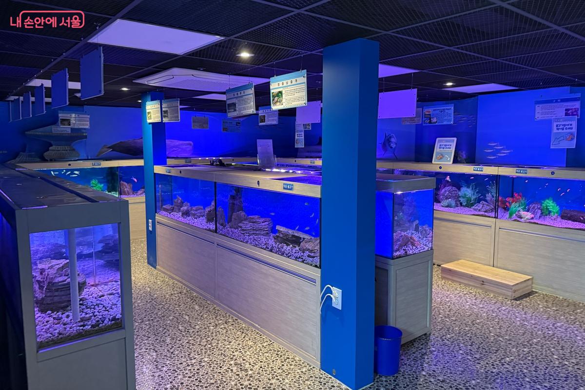 수생생물실 전경 &copy;이하늘