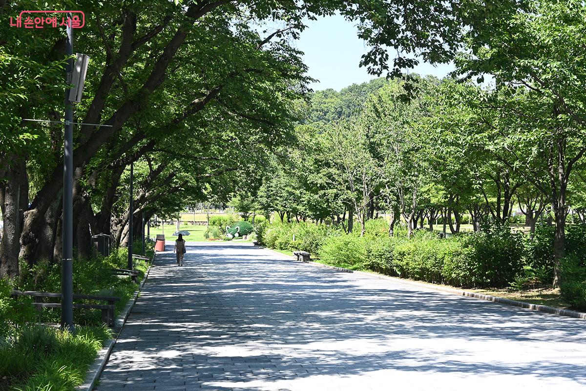 무더운 여름, 짙은 녹음이 가득한 서울대공원 &copy;권주경