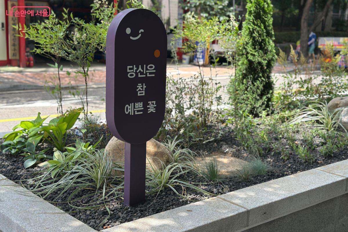 화분 위를 장식한 표지판 ©김재형