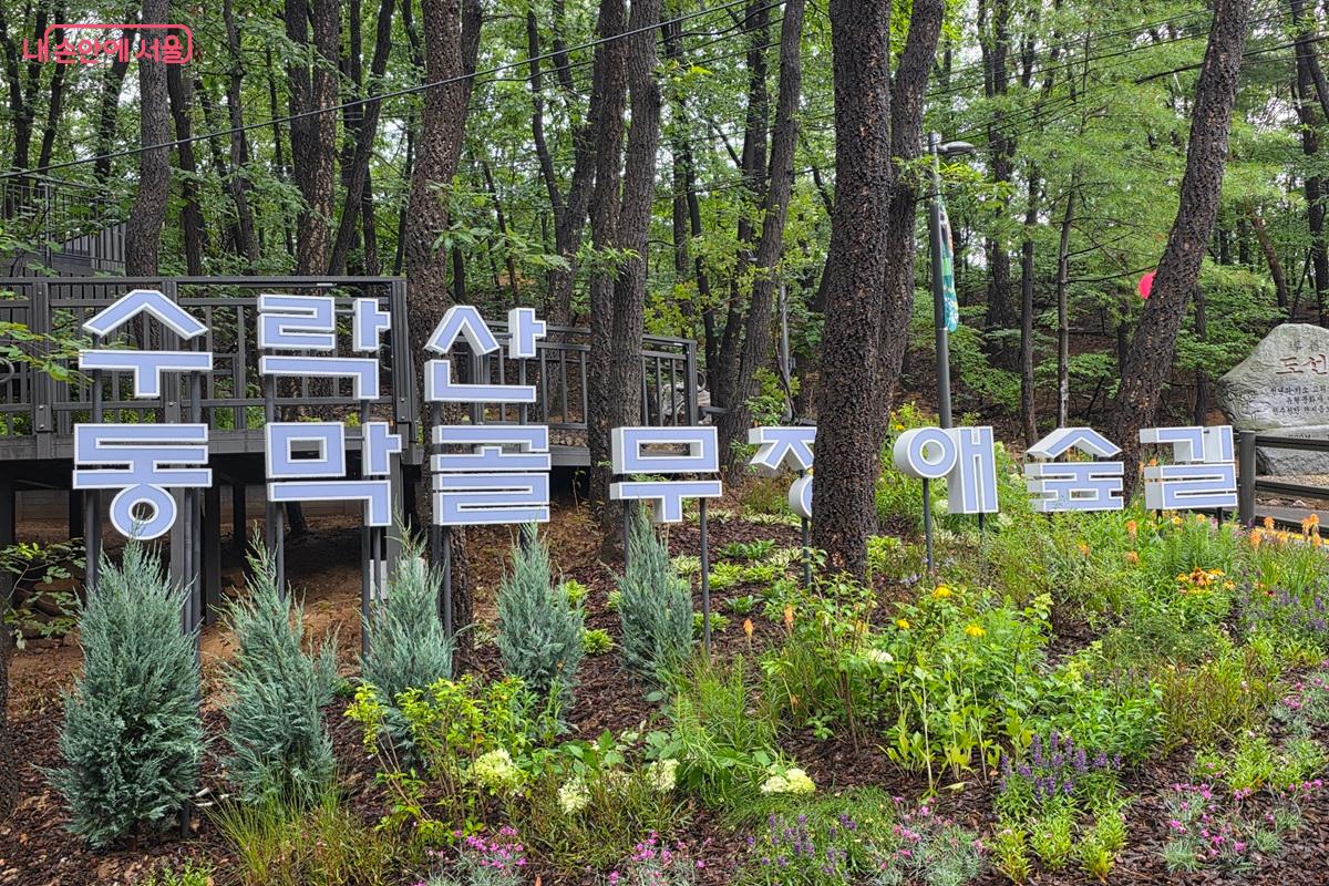 수락산 동막골자연휴양림에는 무장애숲 630m가 조성돼 있다. &copy;구정숙