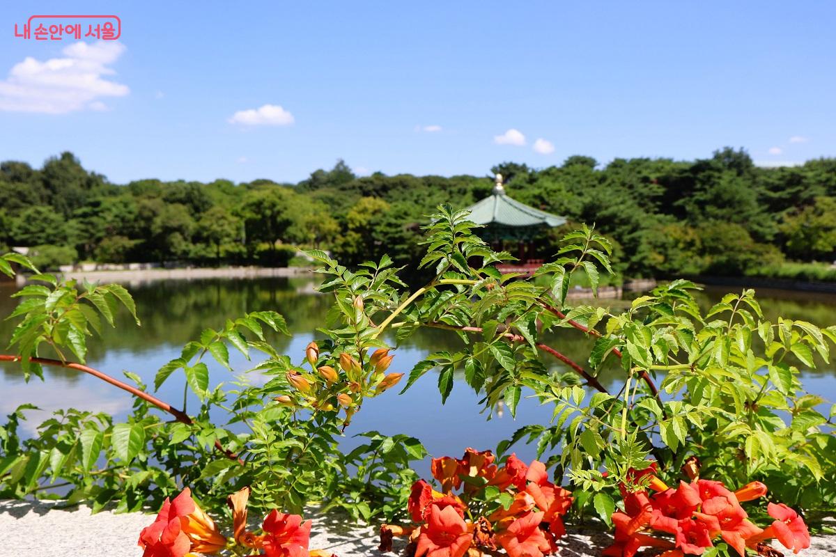 맑은 호수 거울못과 옛 정취의 청자정이 만나 시민들에게 아름다움을 선사하고 있다. ©이봉덕