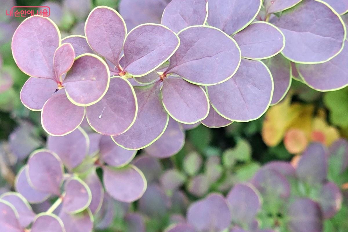 국립극장 주변으로 자연의 여름 풍경이 펼쳐져 있다. &copy;최정윤