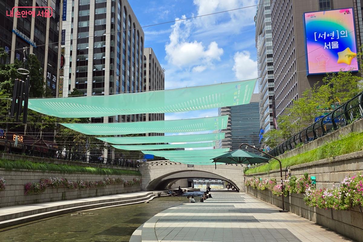 확실히 햇빛 가림막 역할을 톡톡히 하고 있다. ©김윤경