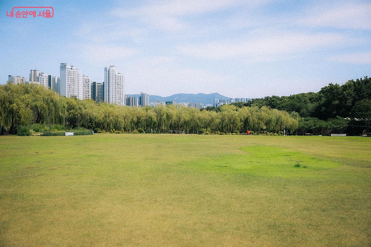 북서울꿈의숲의 너른 잔디광장(청운답원) 전경. 청운답원 너머엔 창녕위궁재사, 월영지, 월광대, 애월정, 석교, 대나무숲 등 고즈넉한 한국 전통 경관을 만나볼 수 있는 '이야기 정원'이 있다. ©김아름