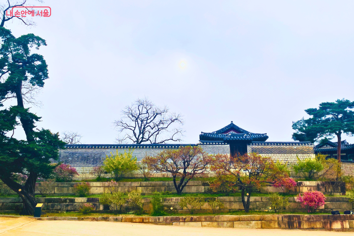 석축 계단식 화단 위로 창덕궁과 연결된 궁궐 담장이 이어져 있다. ©양정화