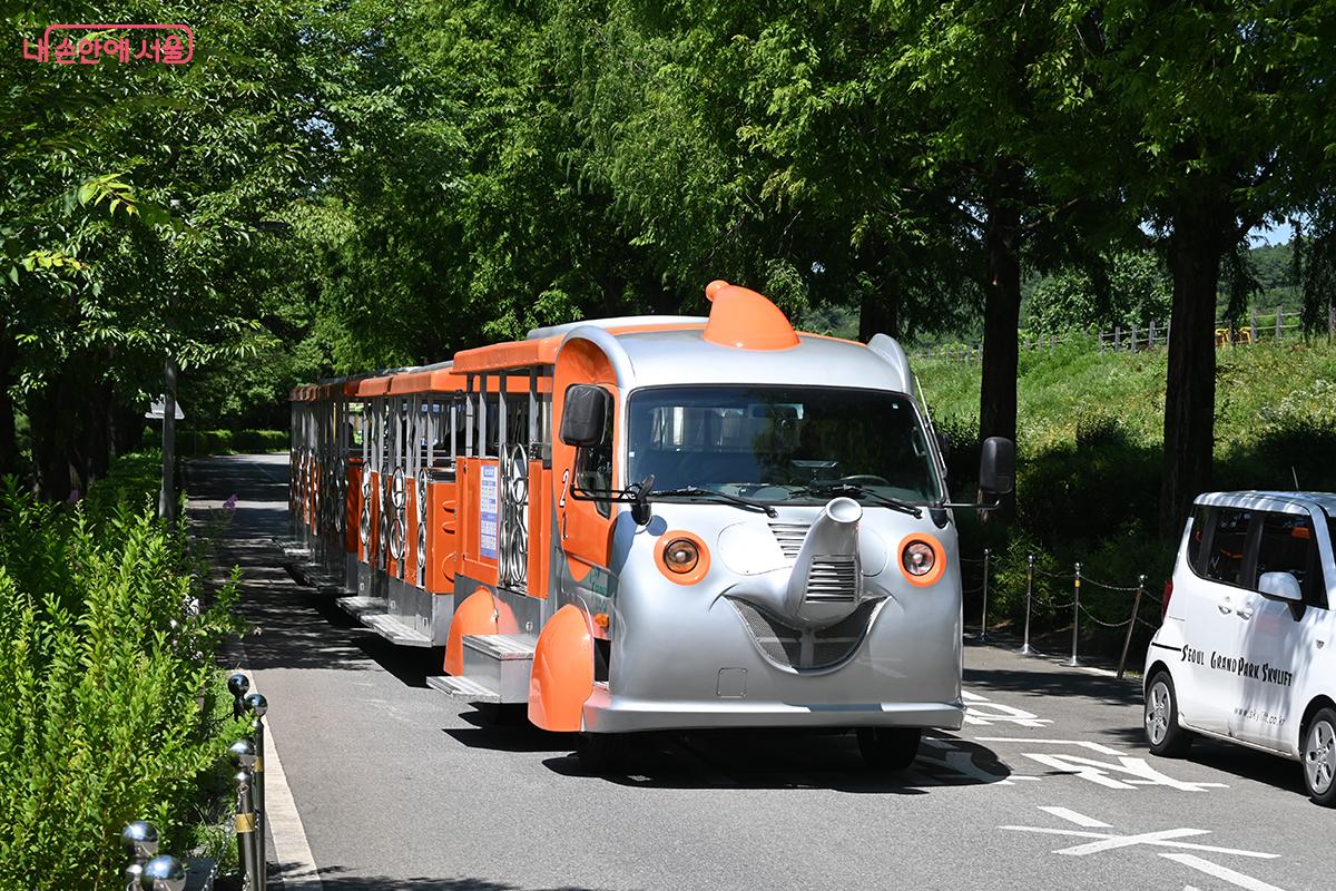 편리하게 이동할 수 있는 코끼리열차 &copy;권주경