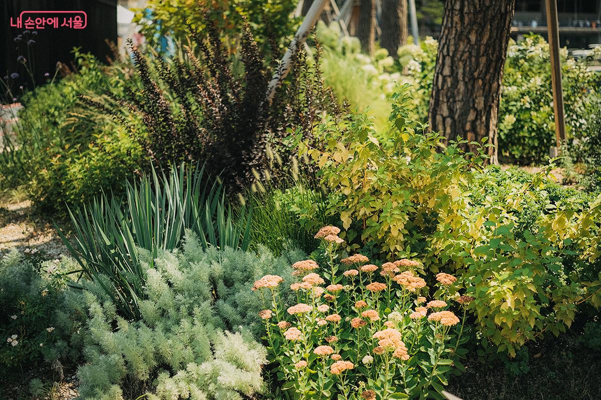 계절마다 조금씩 달라지는 풍경을 관찰하는 즐거움도 있다. ©김아름