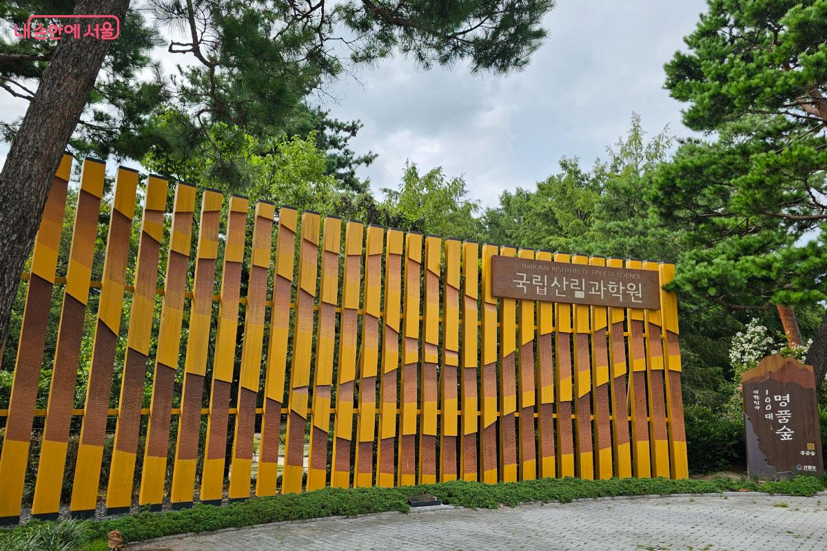 우리나라 최초의 수목원인 홍릉숲 &copy;홍혜수  