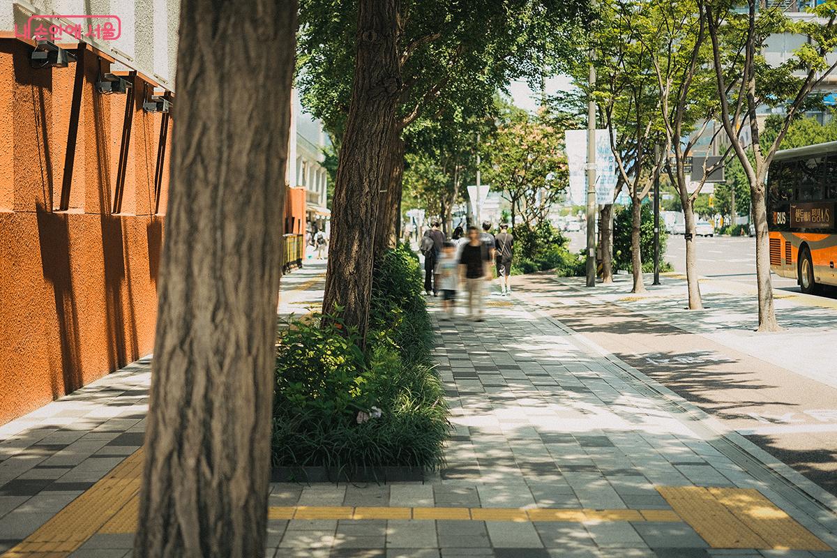 세종대로 사람숲길 구간 내 가로수길 아래 조성된 한 뼘 정원 ©김아름