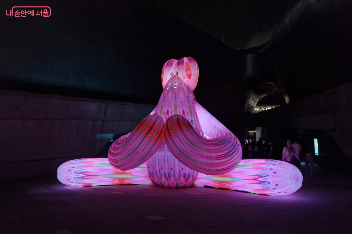 &lsquo;Pool Teacher&rsquo;는 밤에 밝게 빛나며, 눈을 깜박이는 것도 확인할 수 있다. &copy;임채영