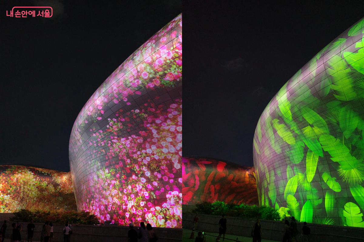 대자연의 기운이 느껴지는 디스트릭트의 'ETERNAL NATURE' ©김미선