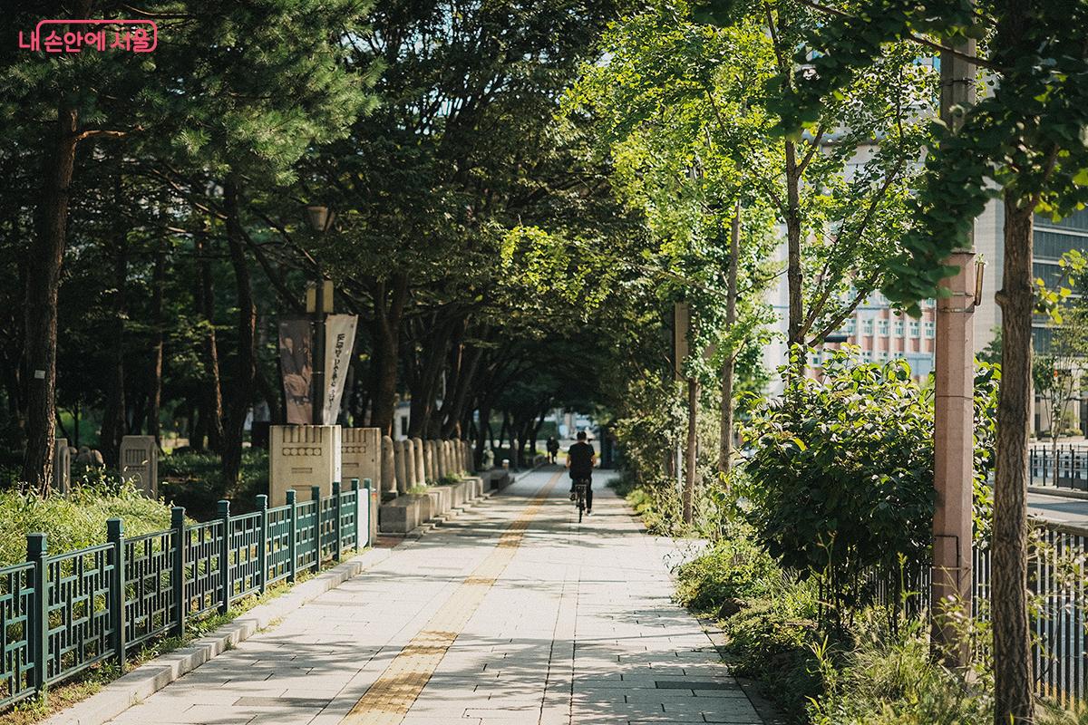 경희궁공원과 서울역사박물관과 인접한 '새문안로'의 녹음이 우거진 풍경 ©김아름