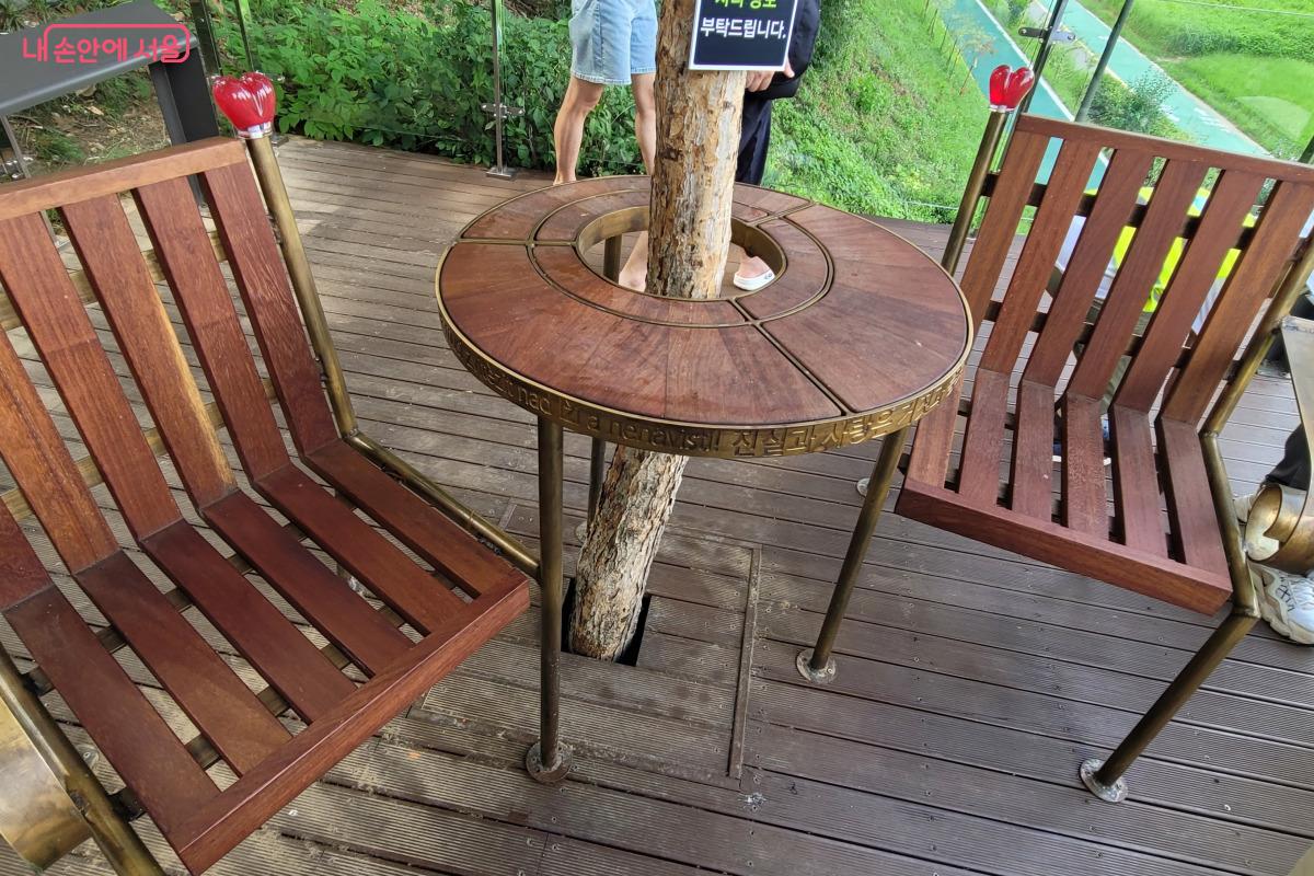 복자기 나무가 관통하는 ‘바츨라프 하벨 벤치’ ©김민지