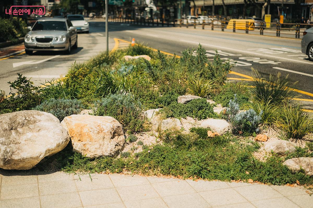 '교통섬 정원'은 삭막한 회색 풍경 속 오아시스 같은 존재다. ©김아름