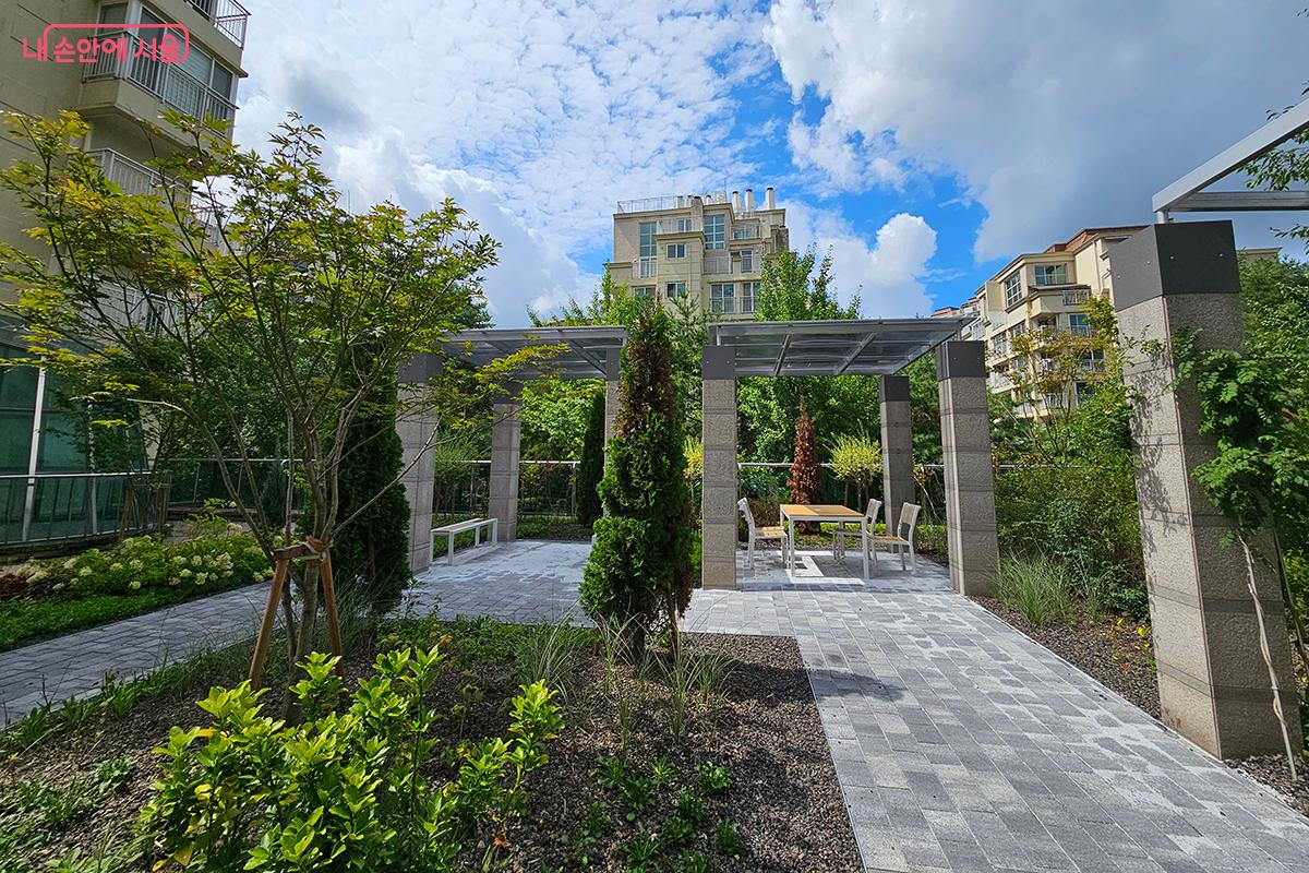 방치된 옥상을 꽃과 나무가 어우러진 정원으로 조성했다. &copy;정향선 