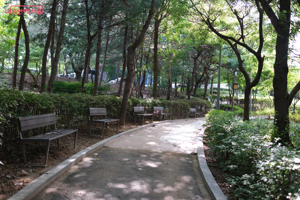 시원한 나무 그늘을 따라 걸을 수 있는 산책로 ©박우영