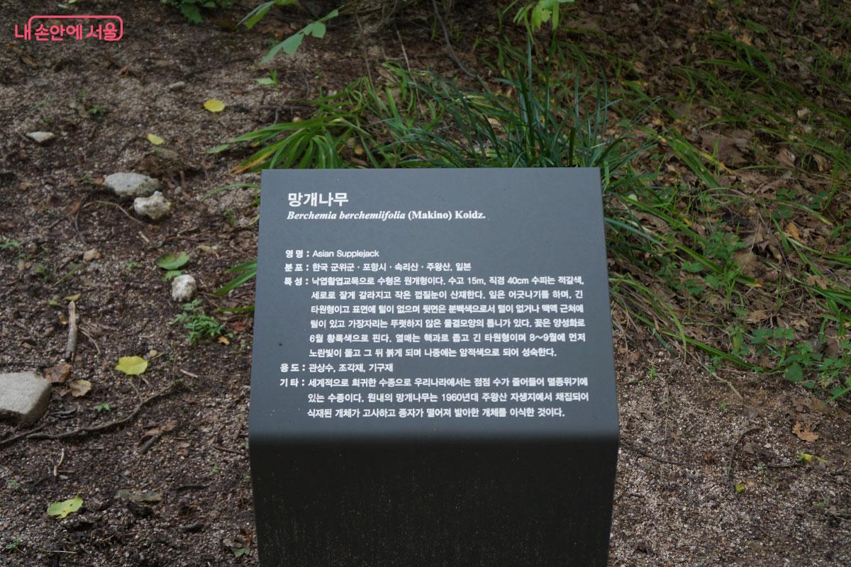 각 나무에 대한 설명이 안내되어 있다. &copy;홍혜수 