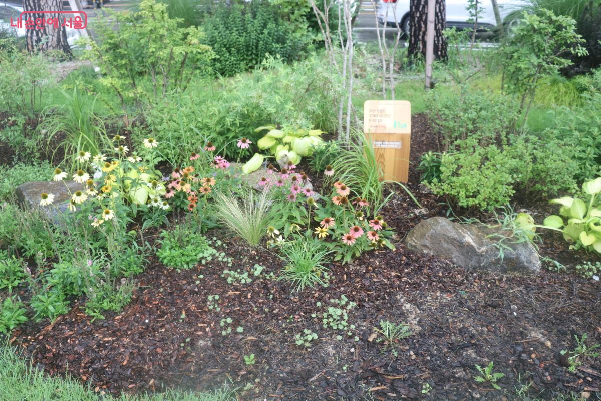 수많은 식물이 식재된 서울광장 &copy;조수연