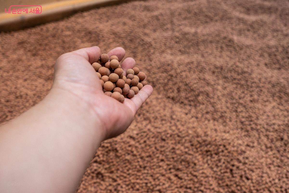 석계치유공원 내 황토볼 체험장 &copy;이진형