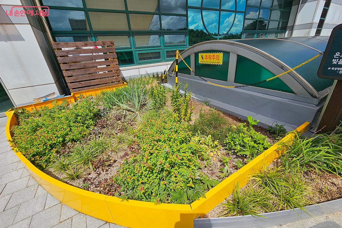 &lsquo;온빛뜰&rsquo;은 폭염 완화 및 여름철 시원한 휴식 공간을 제공한다. &copy;정향선 