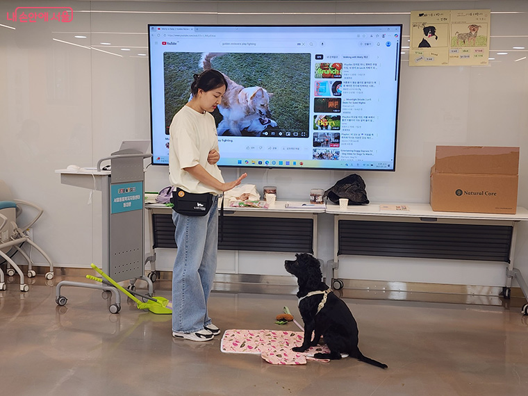 문제행동 교정, 사회화 교육 등을 배운다. 
