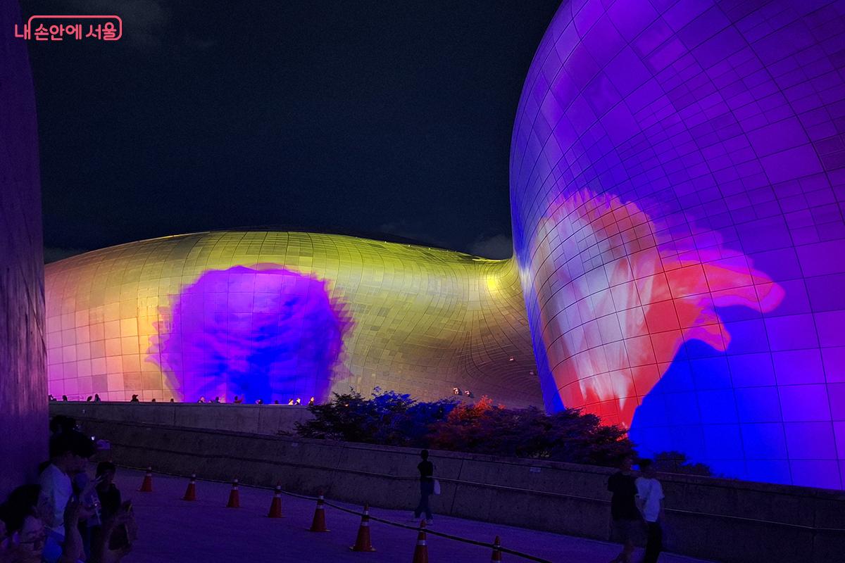 가상의 디지털로 구현한 보라색과 빨간색의 장미가 서서히 피어나는 모습은 선명한 색의 대비를 보여주며 강렬한 인상을 남긴다. ©정향선