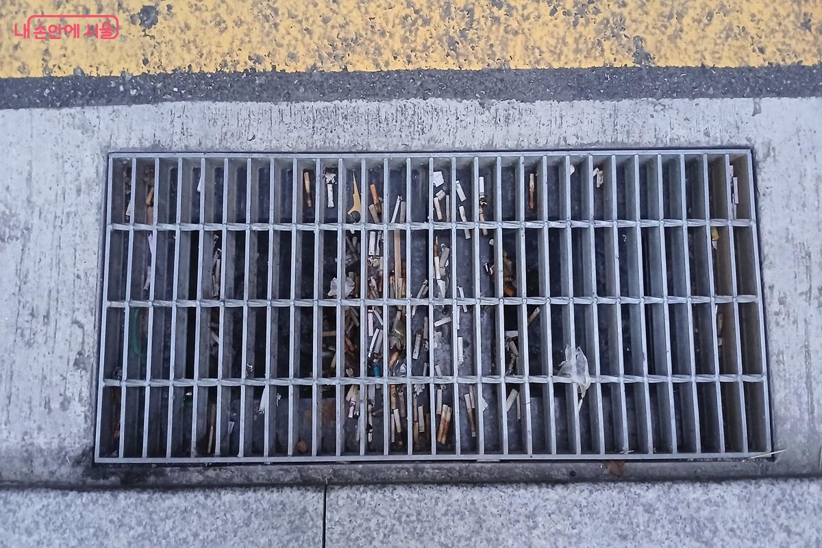 담배꽁초로 가득찬 빗물받이 ©유지민
