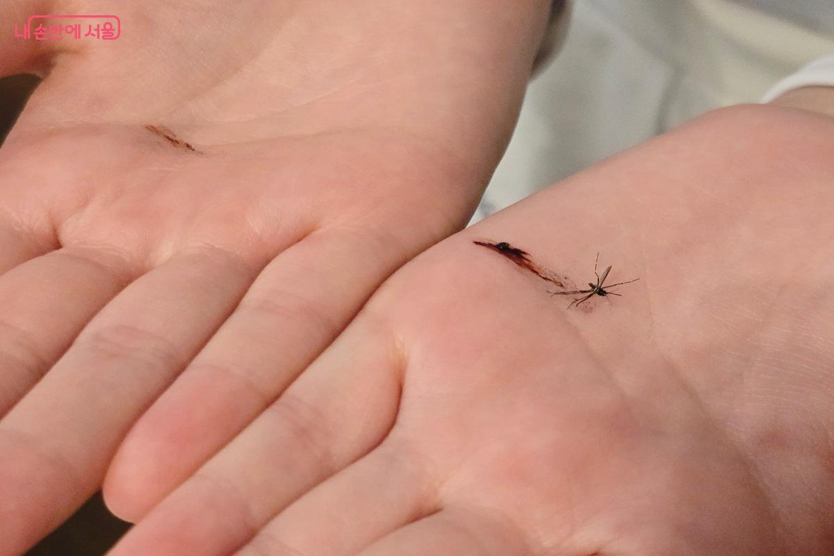 작년 가을 서울에서는 말라리아 감염 사례가 발생했기에 이번 가을 역시 주의가 필요하다. ©김은주