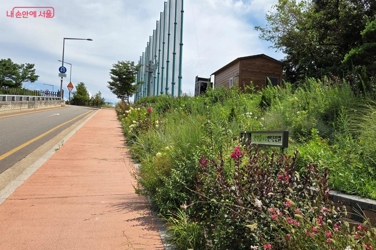 '광진숲나루' 언덕 정원의 꽃을 보면서 걷다 보면 카페가 보인다. ©김미선