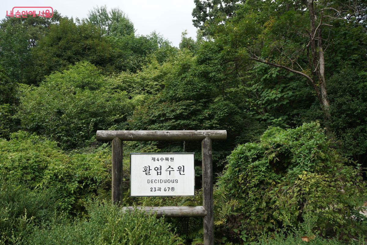 활엽수들을 만날 수 있는 활엽수원 &copy;홍혜수