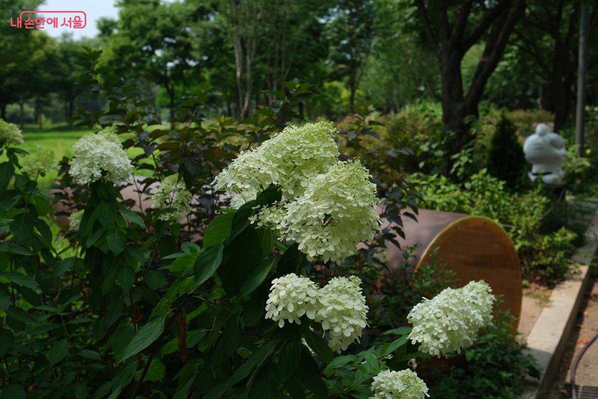 서서울호수공원 곳곳에서는 다양한 꽃과 나무들도 구경할 수 있다. ©박우영 