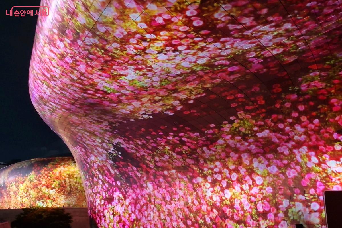 DDP 벽면이 수많은 꽃들로 덮인 모습의 &lsquo;Eternal Nature&rsquo; &copy;임채영