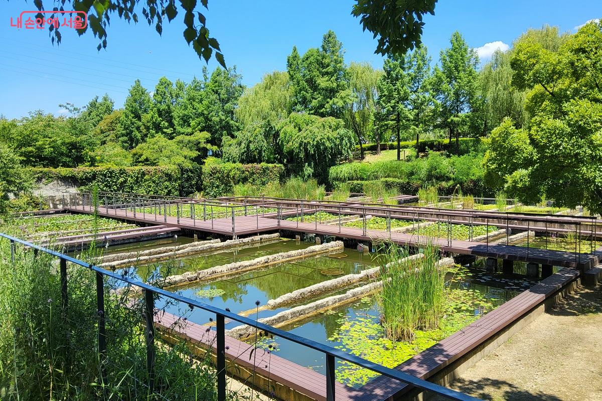 남측에서 바라 본 수생식물원 ©권수진