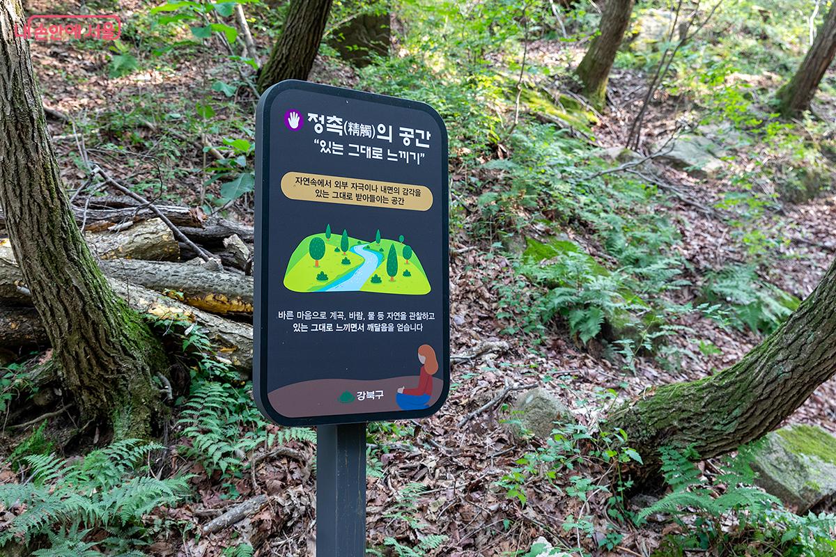 자연과 내면의 감각을 있는 그대로 받아들이는 정촉의 공간 ©문청야