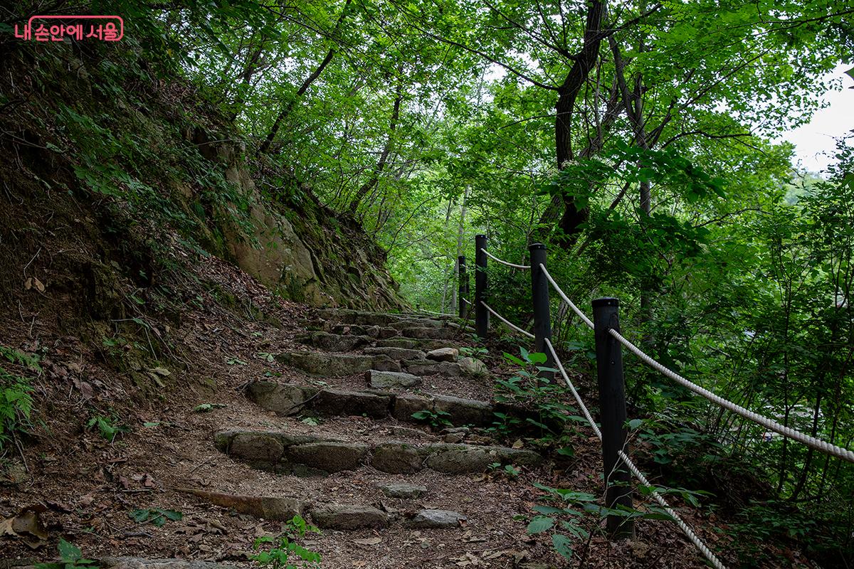 숲의 문을 여는 순간, 도시는 잊혀진다. ©문청야