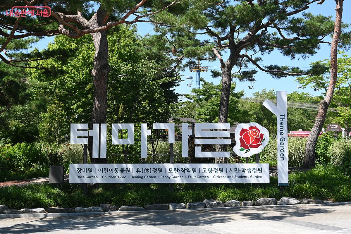 테마가든에는 다양한 품종의 여름꽃이 한창 만개해 있다. &copy;권주경